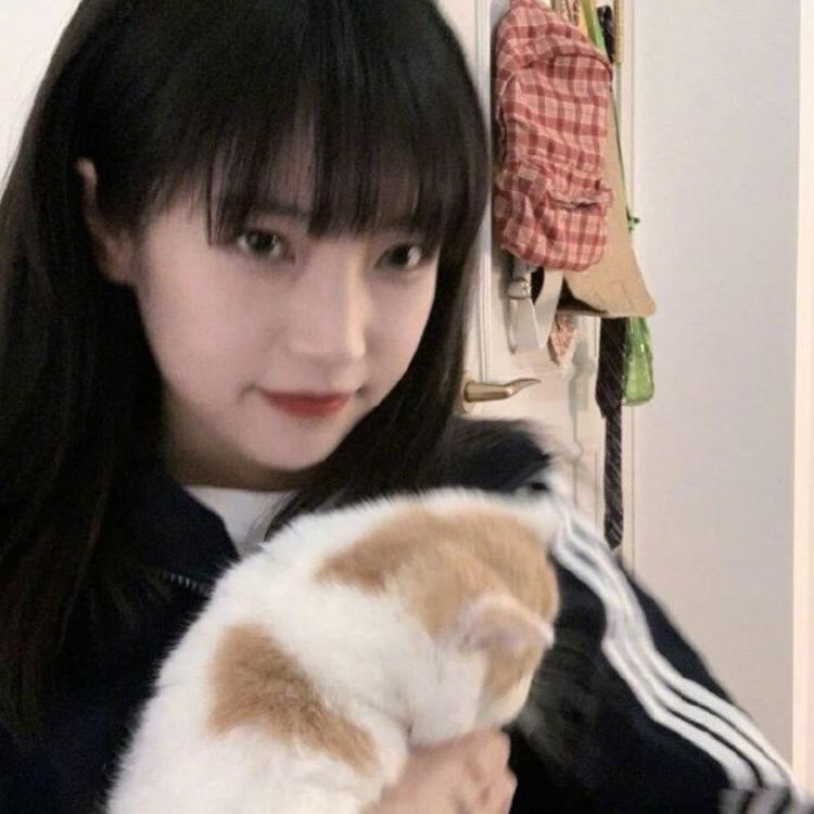 佐藤健（饰 绯村剑心） - 独家综艺节目在线观看 - 网页直播